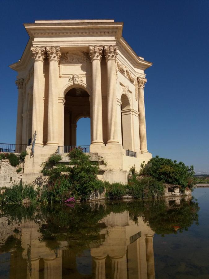 Un Oasis Au Coeur De La Vieille Ville, Classe 4 Etoiles Montpellier Dış mekan fotoğraf